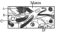 Question diagram
