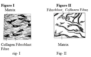 Question diagram