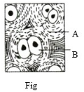 Question diagram