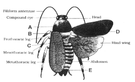 Question diagram