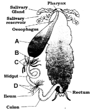 Question diagram