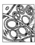Question diagram