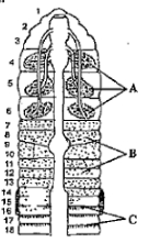 Question diagram