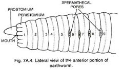 Solution diagram