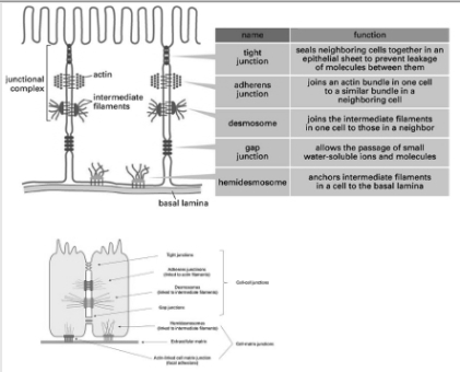 Solution diagram