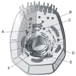 Question diagram