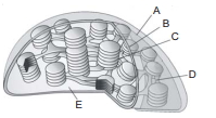 Question diagram