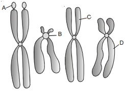 Question diagram