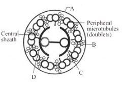 Question diagram