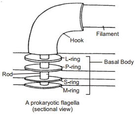 Solution diagram