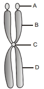 Solution diagram
