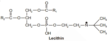 Solution diagram