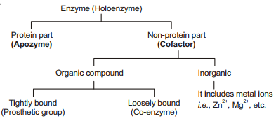 Solution diagram
