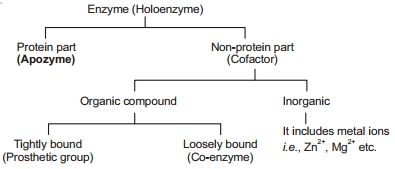 Solution diagram