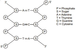 Solution diagram