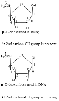 Solution diagram