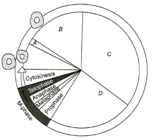 Question diagram