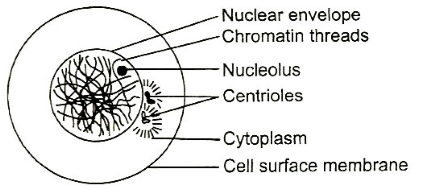 Question diagram