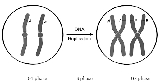 Solution diagram