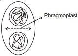 Solution diagram
