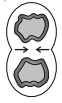 Solution diagram