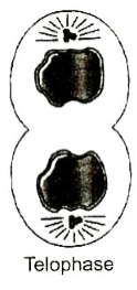 Solution diagram