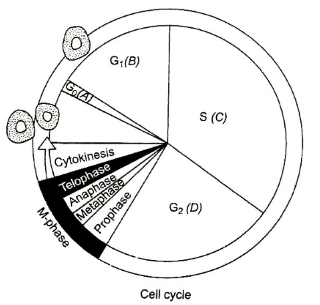 Solution diagram