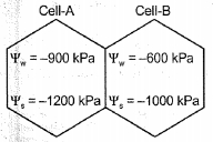 Question diagram