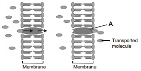 Question diagram