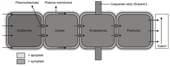 Solution diagram