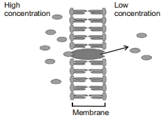 Solution diagram