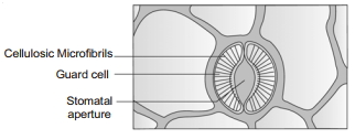 Solution diagram