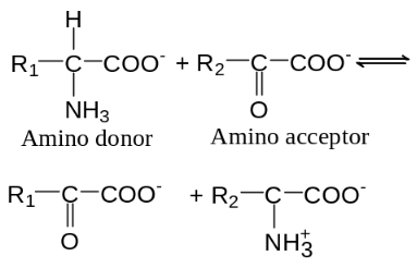 Question diagram