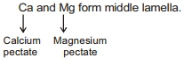 Solution diagram