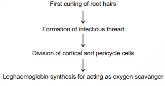 Solution diagram