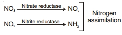 Solution diagram