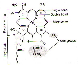 Solution diagram