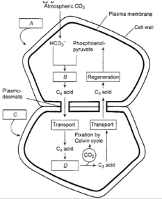 Question diagram