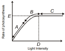 Question diagram