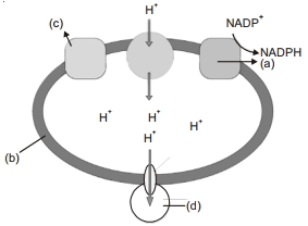 Question diagram