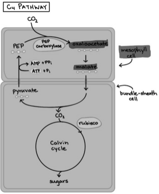 Solution diagram