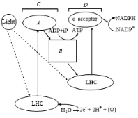 Solution diagram