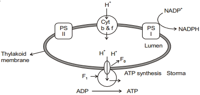 Solution diagram