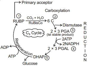 Solution diagram