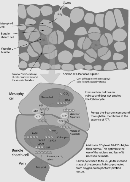 Solution diagram