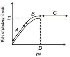 Solution diagram