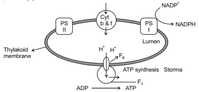 Solution diagram