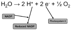 Solution diagram