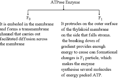 Solution diagram
