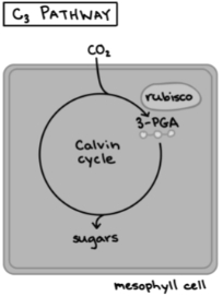 Solution diagram